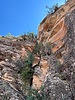 photo thumbnail #12