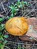photo thumbnail #6