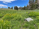 photo thumbnail #5