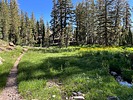 photo thumbnail #2