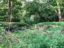 photo thumbnail #7