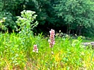 photo thumbnail #15