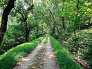 photo thumbnail #14