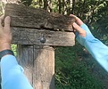 photo thumbnail #7