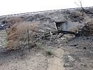 photo thumbnail #1