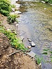 photo thumbnail #13