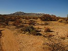 photo thumbnail #10