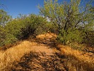 photo thumbnail #11