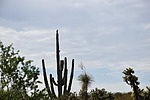 photo thumbnail #10