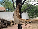 photo thumbnail #14