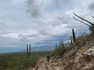 photo thumbnail #7