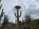 photo thumbnail #9