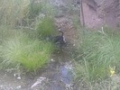 photo thumbnail #7
