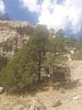 photo thumbnail #14