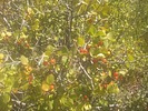 photo thumbnail #13