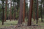 photo thumbnail #4