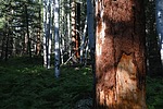 photo thumbnail #10