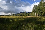 photo thumbnail #12