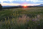 photo thumbnail #13