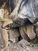 photo thumbnail #13
