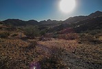 photo thumbnail #1