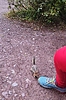 photo thumbnail #10