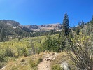 photo thumbnail #1
