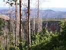 photo thumbnail #11