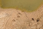 photo thumbnail #15