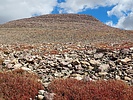 photo thumbnail #10