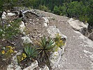 photo thumbnail #8