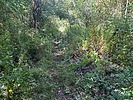 photo thumbnail #11