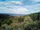 photo thumbnail #12