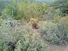 photo thumbnail #13