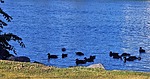 photo thumbnail #13