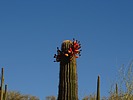 photo thumbnail #8