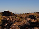 photo thumbnail #5