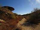photo thumbnail #9