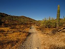 photo thumbnail #4