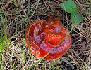 photo thumbnail #7