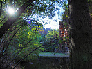 photo thumbnail #10