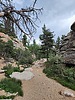 photo thumbnail #12