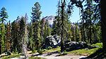photo thumbnail #13