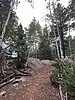 photo thumbnail #2