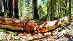 photo thumbnail #2