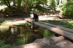 photo thumbnail #9