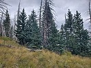 photo thumbnail #14