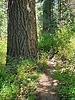 photo thumbnail #15