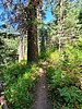 photo thumbnail #14