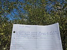 photo thumbnail #13